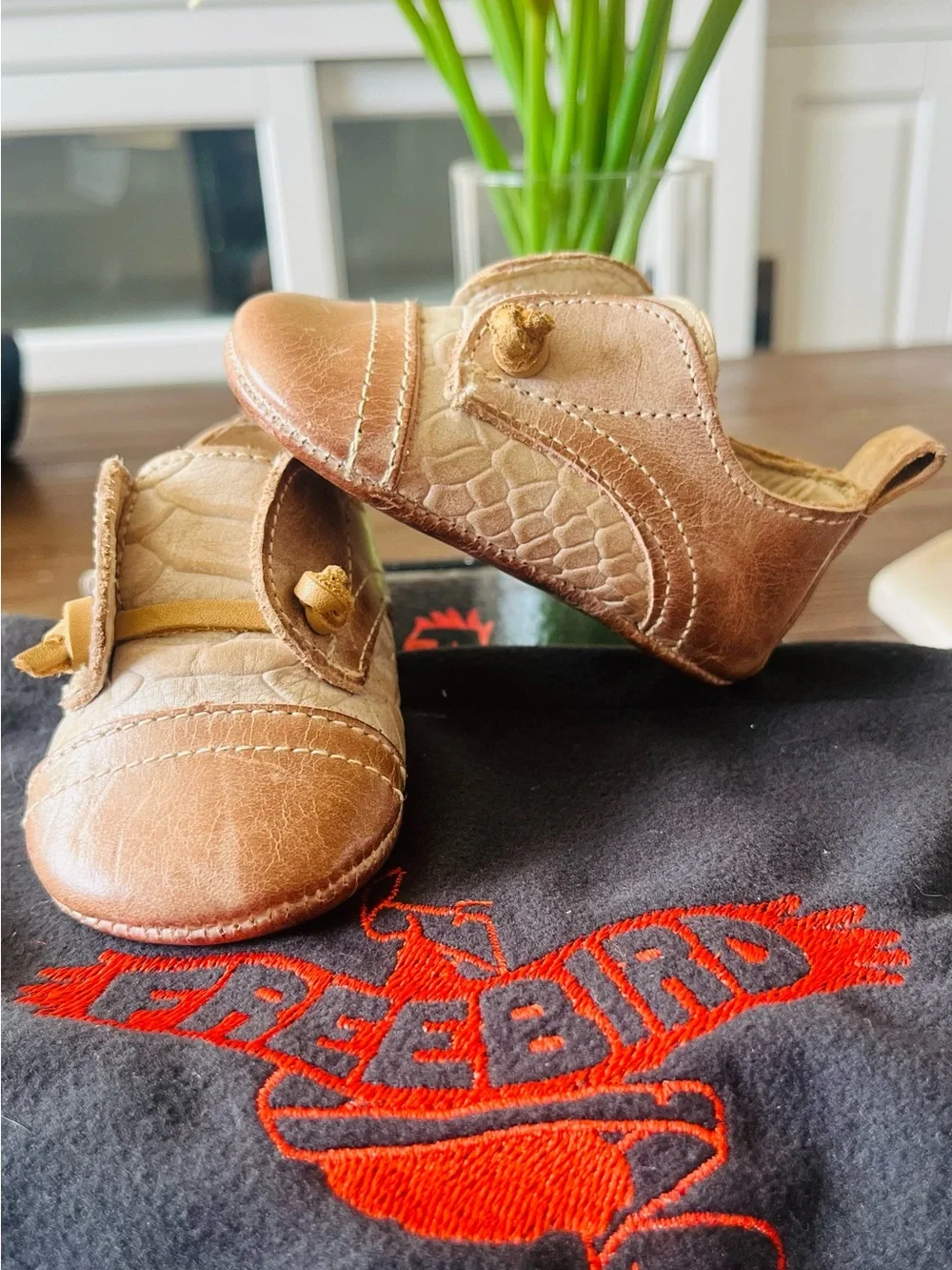 Freebird by Steven adorable freebird